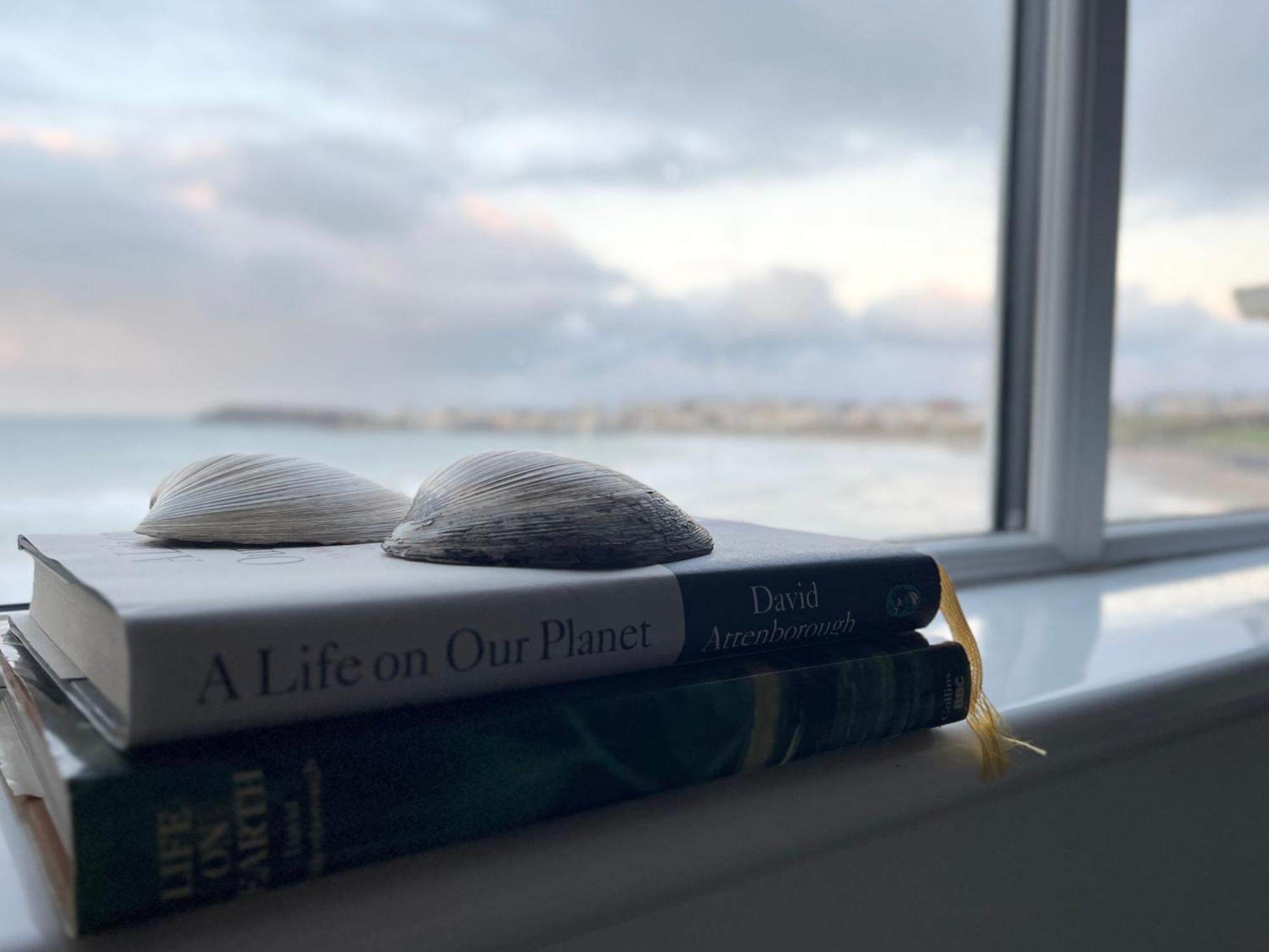 Appartement Sound Of The Sea - Penthouse In Portrush Extérieur photo